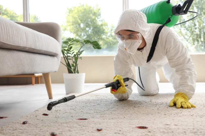 Avrupa Yakası Jet Böcek İlaçlama